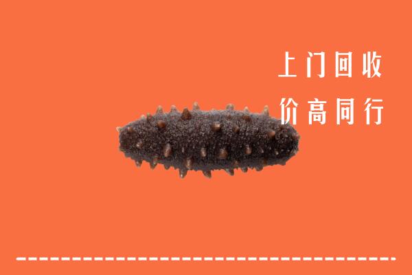高价求购：鄂尔多斯回收海参