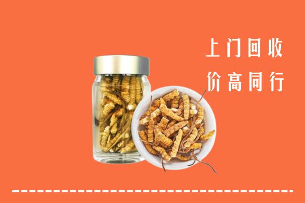 鄂尔多斯回收冬虫夏草
