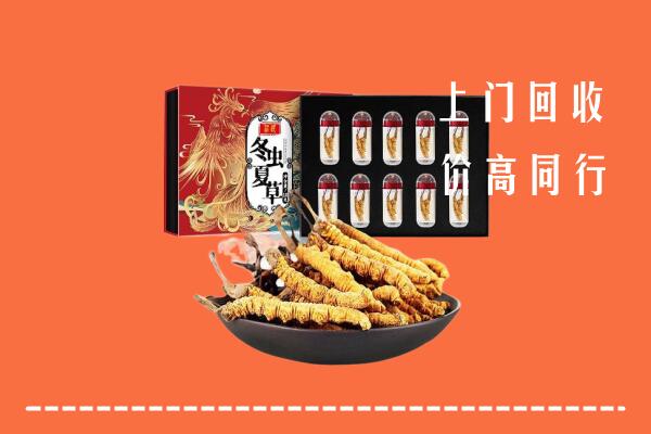 鄂尔多斯回收虫草